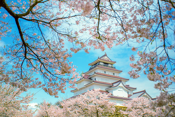 NHỮNG ĐIỀU CẦN BIẾT  VỀ CHƯƠNG TRÌNH KỸ NĂNG ĐẶC ĐỊNH